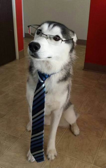 You’ll see on my résumé, I have caught the mailman.