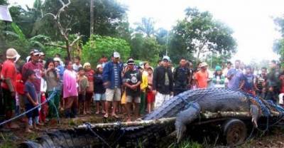 The Biggest Animals Of Their Kind. So Big That They Don't Look Real.