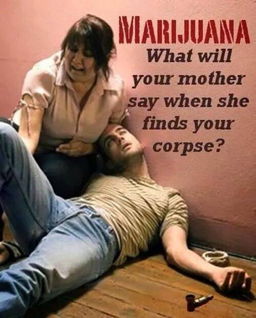 I laughed. Wasn't really sure how else to handle this.