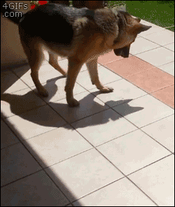 Stop following me...