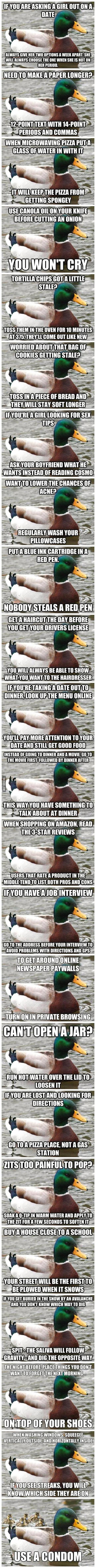 So I heard you like advice. Here's a whole bunch of em.