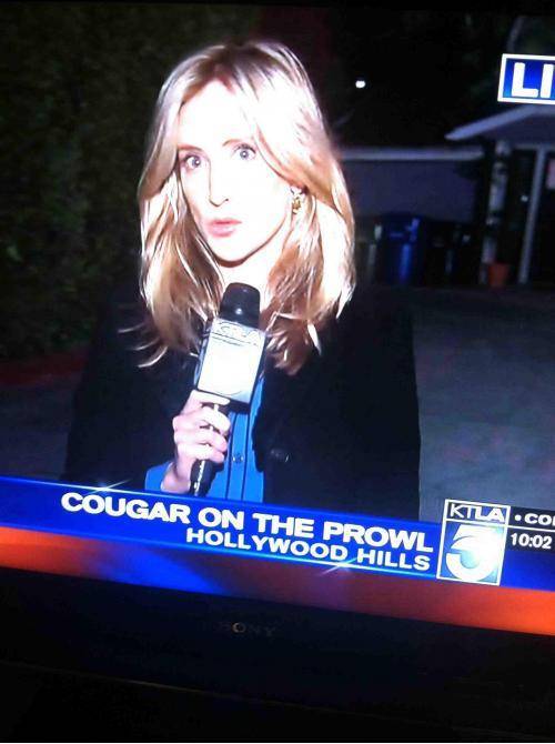 Shes coming for you.