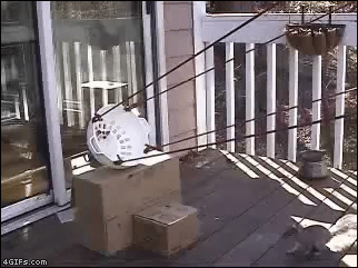 We have lift off