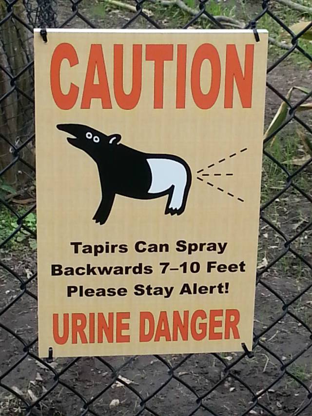 Nice One Zoo