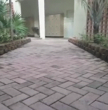 Holding hands...