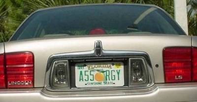 Who Knew License Plates Could Make You Cry From Laughter?