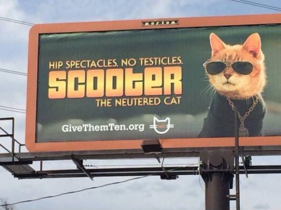 The billboards in my town just keep getting stranger and stranger...