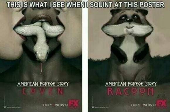 American Horror Story: Raccoon?