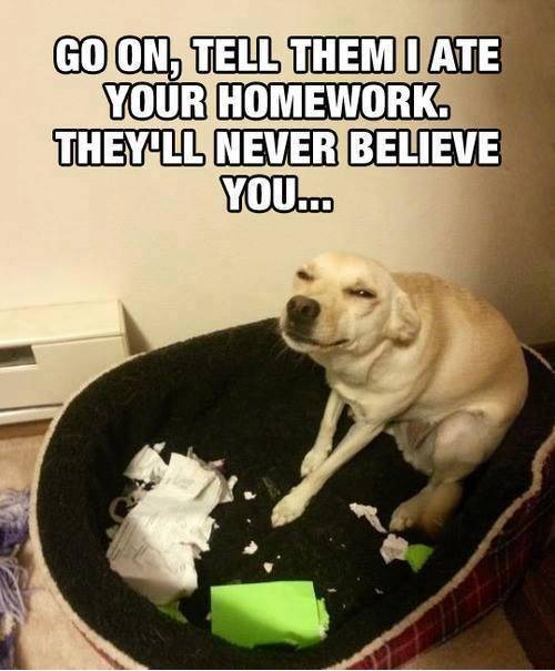 They will never believe it.
