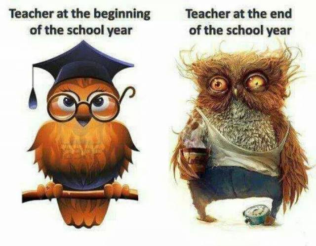 Teacher, before and after the school year
