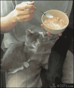 Give me...Its all mine...