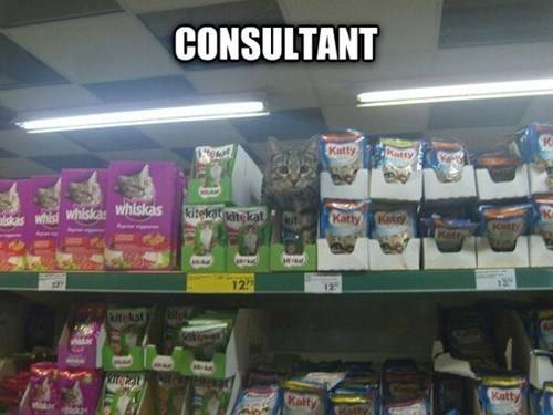 Do you have any questions?