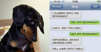 If You Could Have Conversation With Your Dog This Way...