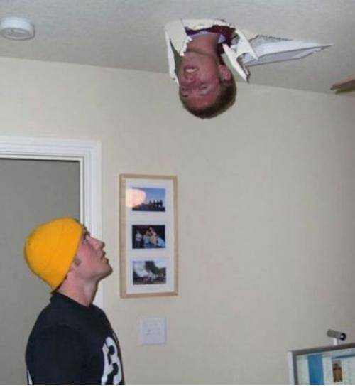 New ceiling fan
