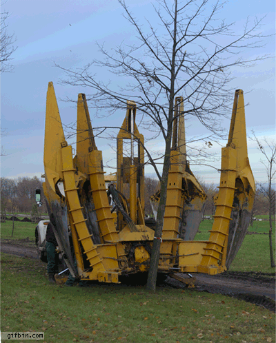Oddly satisfying tree mover
