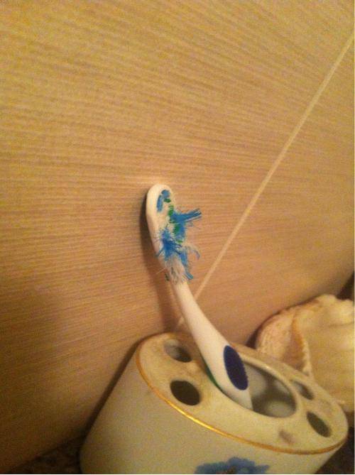 My room mates tooth brush :/
