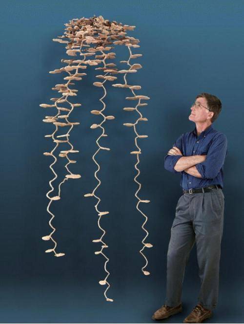 What an ant colony looks like when filled with metal-and then extracted from the ground