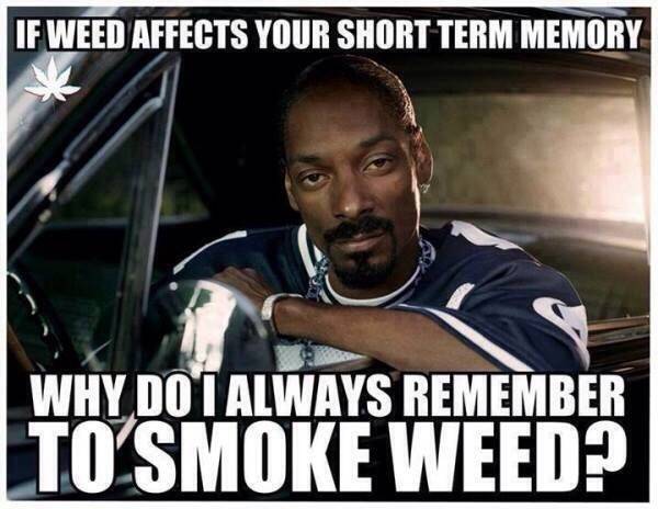 If weed effects your short term memory...