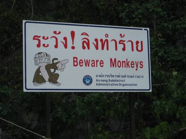 My sister sent me this from Bangkok.