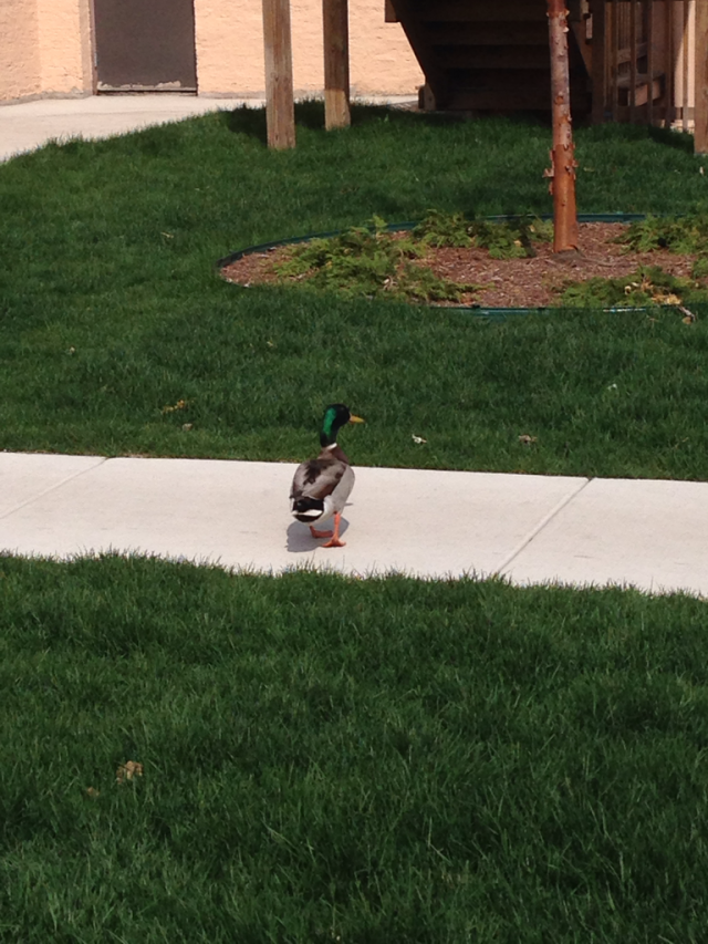 I asked for advice, he just walked away...
