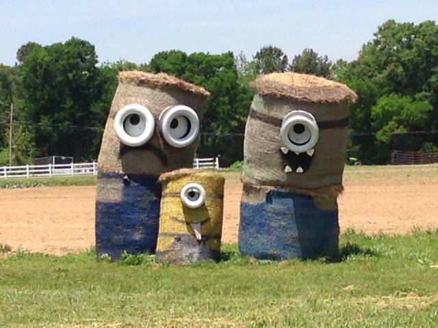Seen on a farm driving through Aberdeen, MS.