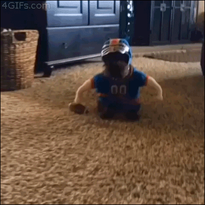 Come at me bro!