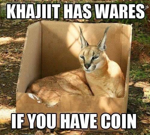 Always trust your local Khajit dealer