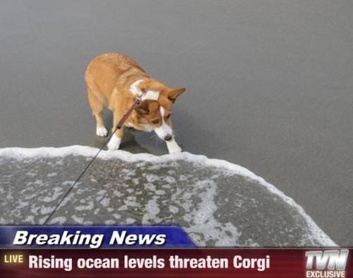 Global warming has larger consequences than expected.