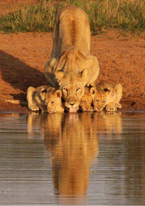 Amazing click