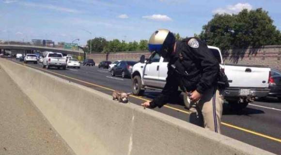 This guy needed some help getting off the freeway.