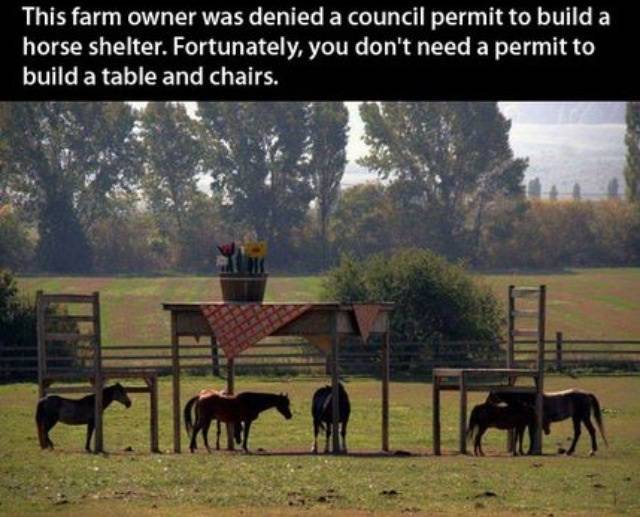 Pure genius.
