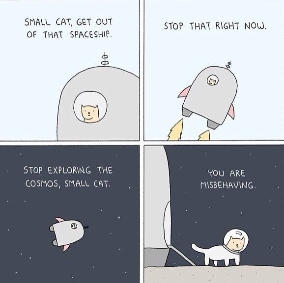 Bad cat