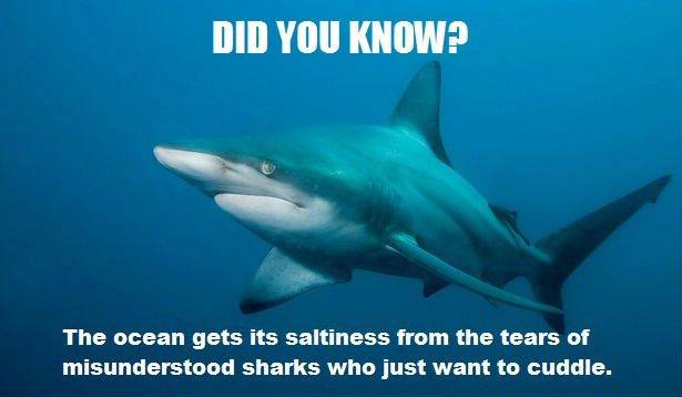 I did not know that.
