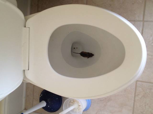 gf woke me up mad about some prank I pulled. I didn't pull a prank.