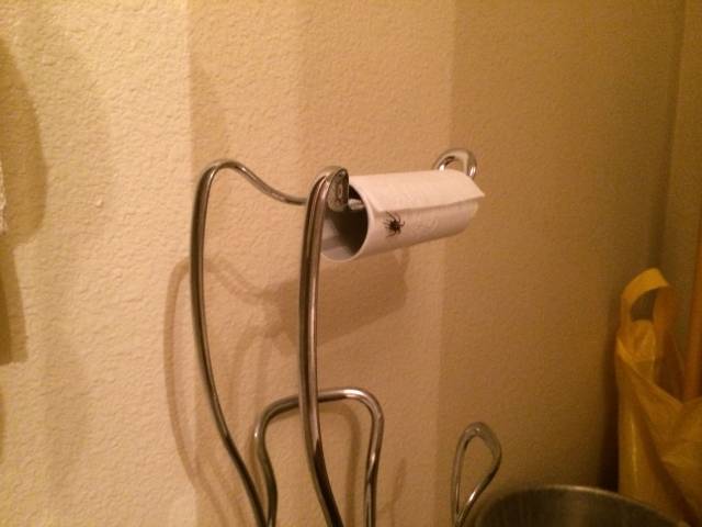 Well...what the hell do I do now?