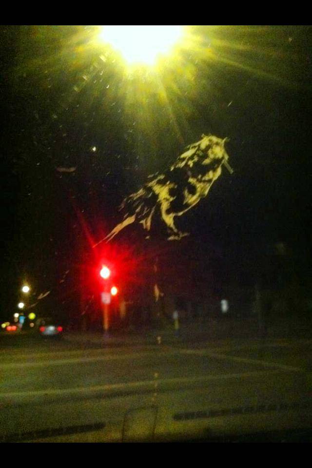 Bird sh*t on Windshield looks like bird taking a sh*t..masterpiece!!