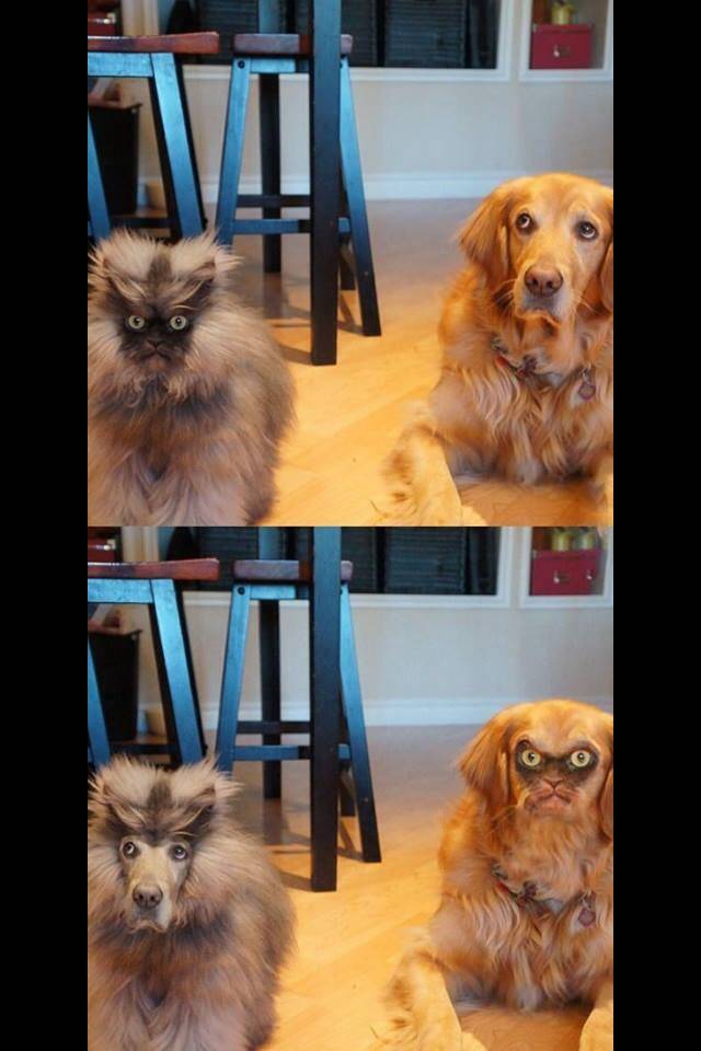 Best face swap I think I have ever seen.