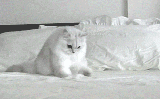 Everytime I lose my phone somewhere in my bed