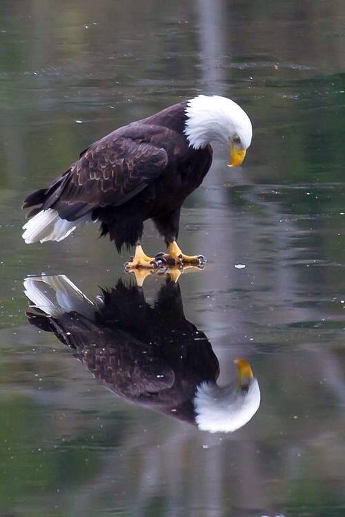 So that's what freedom looks like