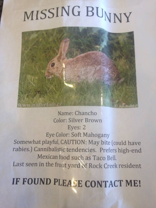 Someone must have seen me freaking out while trying to clean up a dead bunny on our lawn... This was posted in front of our house the next day.
