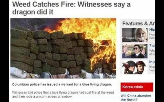 I swear, it was a dragon!