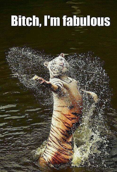 Just Fab....
