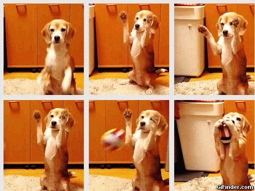 How to catch a ball?