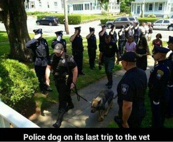 Daily Morning Epicness (40 Pictures)