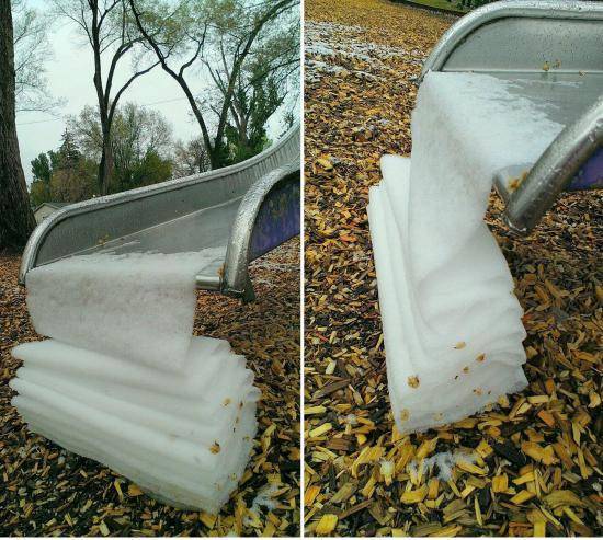 In Colorado, snow during the month of May can lead to some weird things.