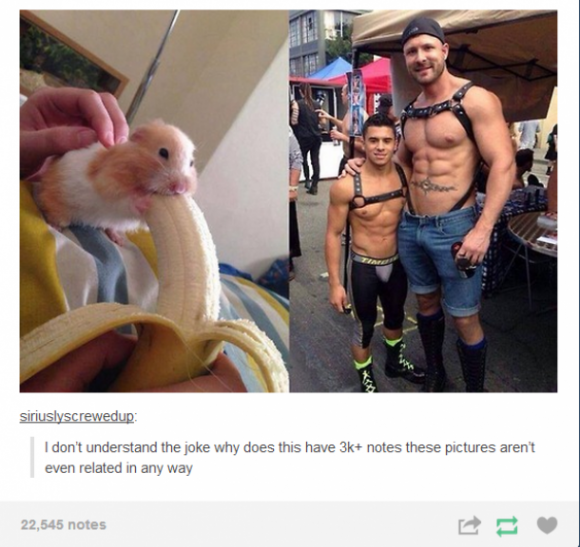 The innocence is strong with this one.