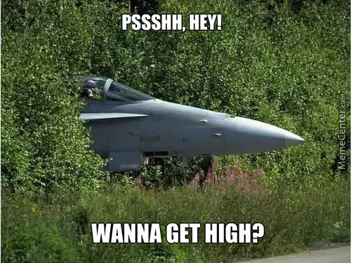 Silly F18, what you doin' in those trees? You know you don't belong there.