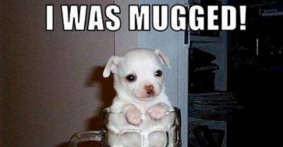 By The Time You Will Admit That You Secretly Love Puns...