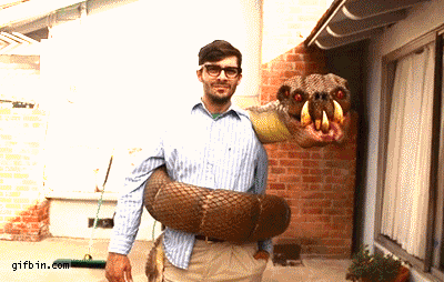 One of the coolest costume ideas I’ve seen.