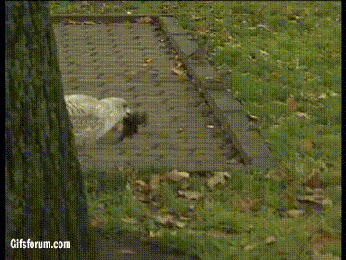 Damn nature, you scary